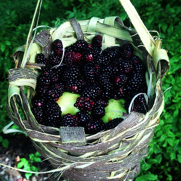 Yes_I_did_make_that_basket_from_bark_and_forage_berries_on_the_roadside.__truestory